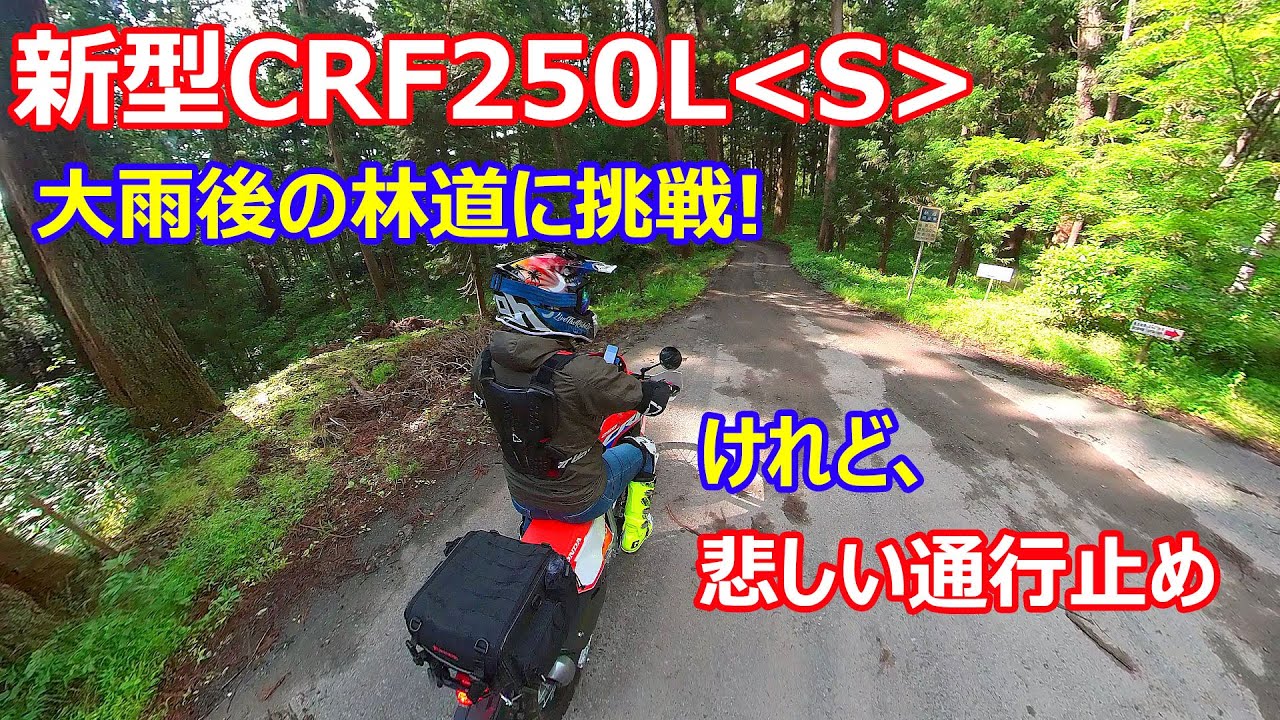 HONDA 新型CRF250L＜S＞ ドロドロ状態の林道に挑戦したけれど、気合は十分だったけれど、通行止めだった♪
