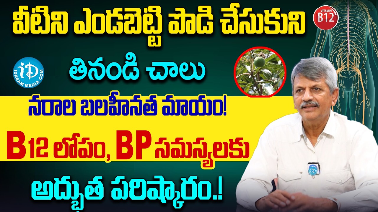 Cure Nerve Weakness & Vitamin B12 Deficiency: Mango Seed Benefits | Anjaneya Raju | iDream