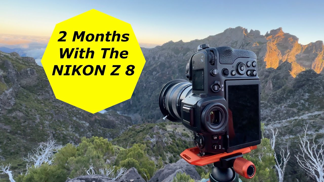 Nikon Z8 first look. Sample images / focus test/ size comparison.