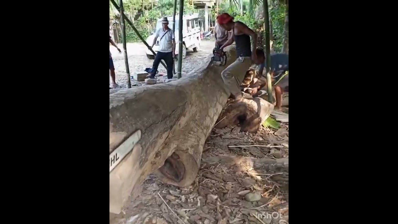 Making of new log drum by Jaboka Union Tizit Town