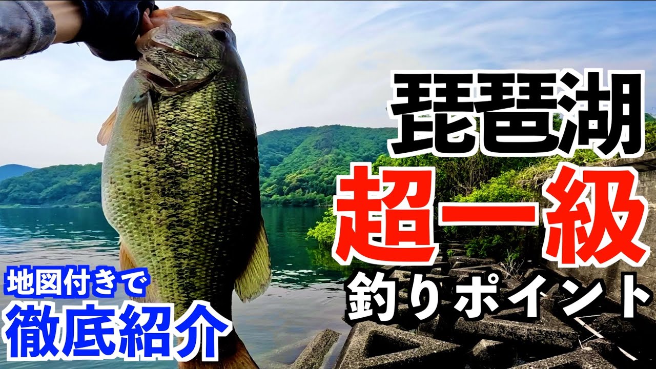 【琵琶湖バス釣り】ここは絶対に行くべき！今こそ旬な超一級ポイントを地図付きで徹底解説！