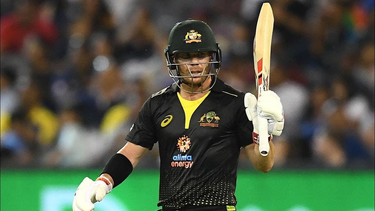 Every boundary from Warner's awesome T20I campaign