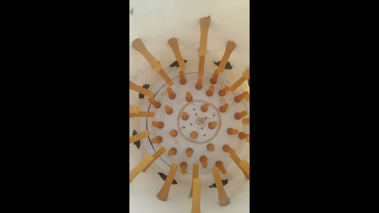 عمل نتافة للفري والطيور الصغيرة