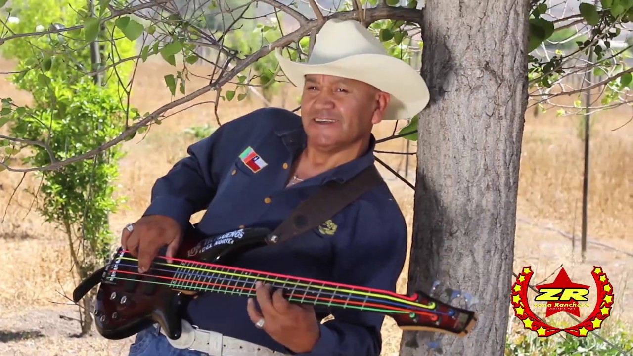 Los Trigueños del Norte - Mix Corridos Trigueños (Oficial Video)