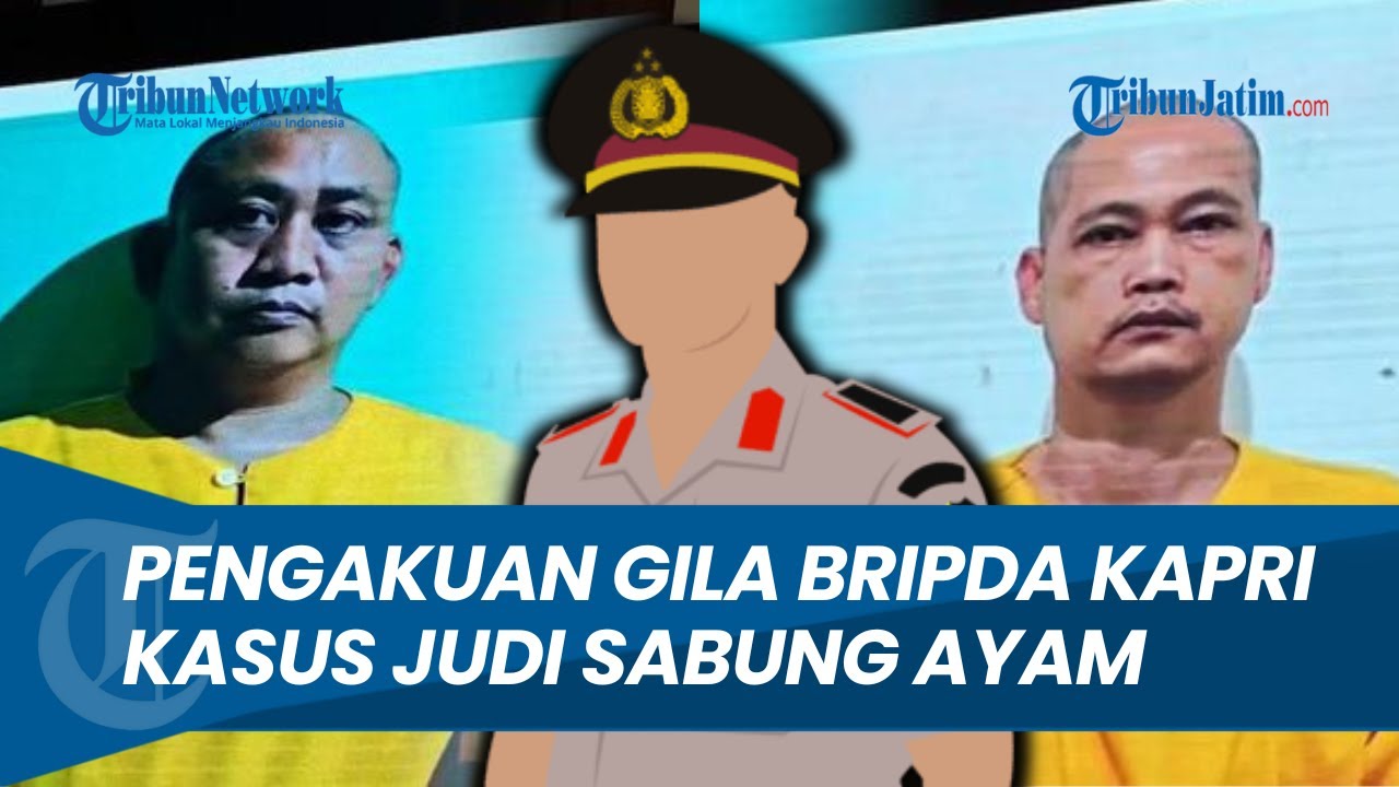 Mengejutkan! Pengakuan Bripda Kapri Anggota Polda Sumsel Tersangka Sabung Ayam di Way Kanan, Lampung