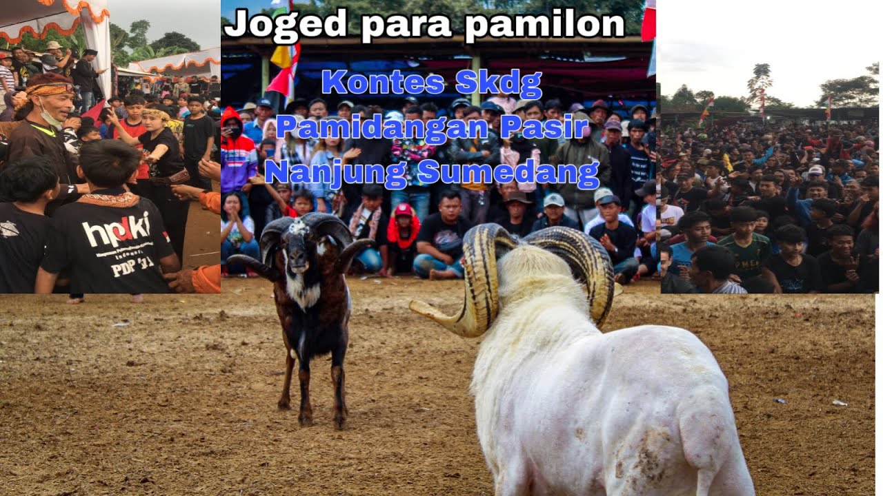 Kontes SKDG Pamidangan Pasir Najung Sumedang || joged para pamilon lapang sampe sempit‼️