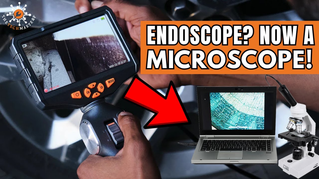 Transform Your Endoscope into a Microscope | Cheap & Effective Hack