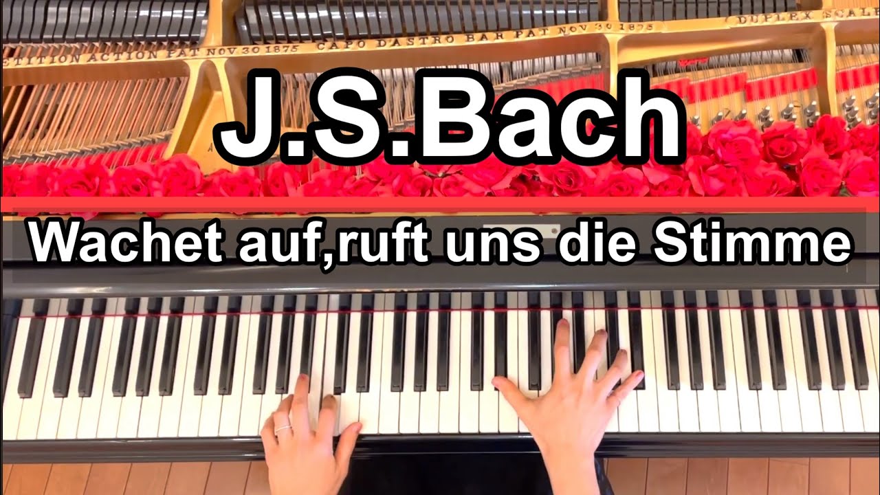 目覚めよと呼ぶ声あり (バッハ) Bach - Wachet auf,ruft uns die Stimme (PianoSolo)