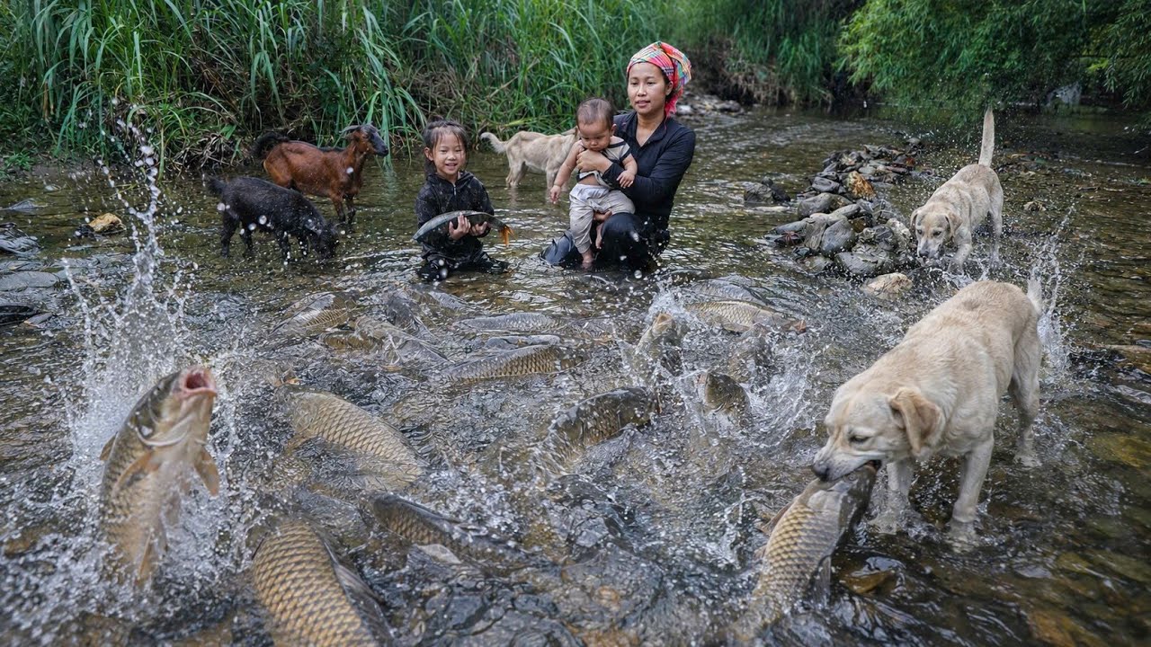 Unexpected Miracle! Single Mother Catches Giant River Fish | Mountain Life