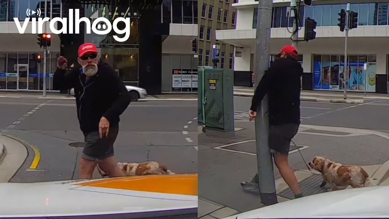 Karma is Best Served Instantly 😅  Funny Fails || ViralHog
