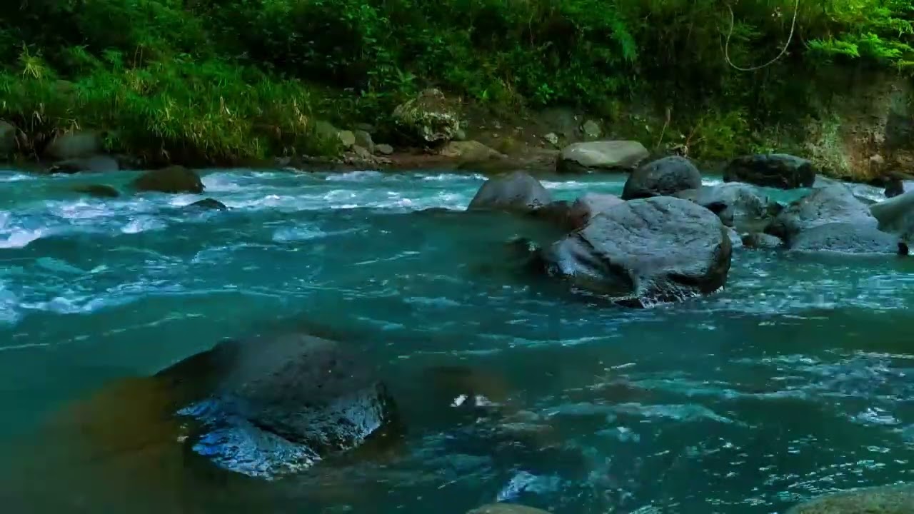 Gentle Stream in the Woods – Nature River Sounds for Relaxation