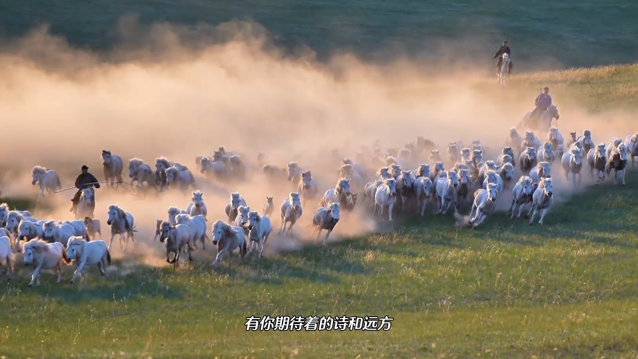 唯有辽阔草原 才有千里风景  草原99号公路能够满足您对草原的一切向往 越走进 越深爱 绝美的原生态草原西乌珠穆沁旗期待您来打卡