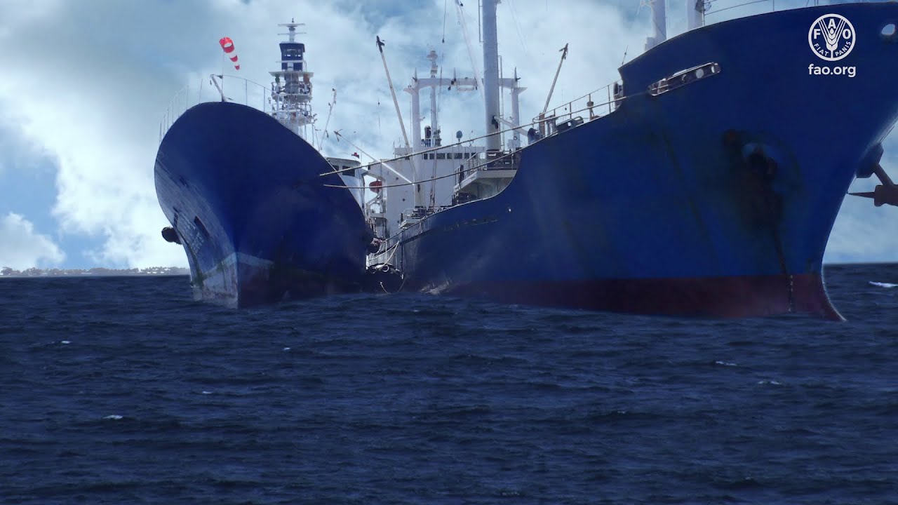 The Voluntary Guidelines for Transshipment