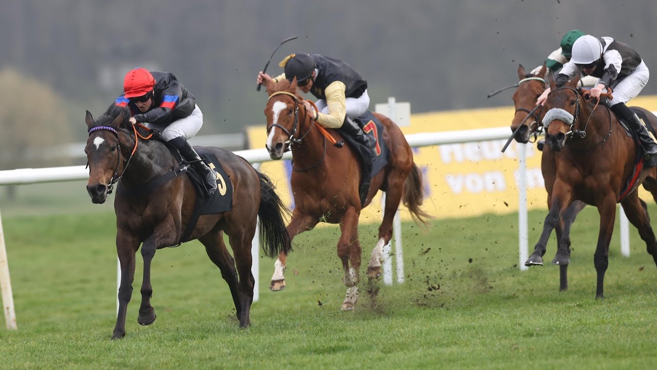 Berlin Hoppegarten: Preis des Gestüts Lünzen & Friends 2024 Siegerin: Peace of Rose