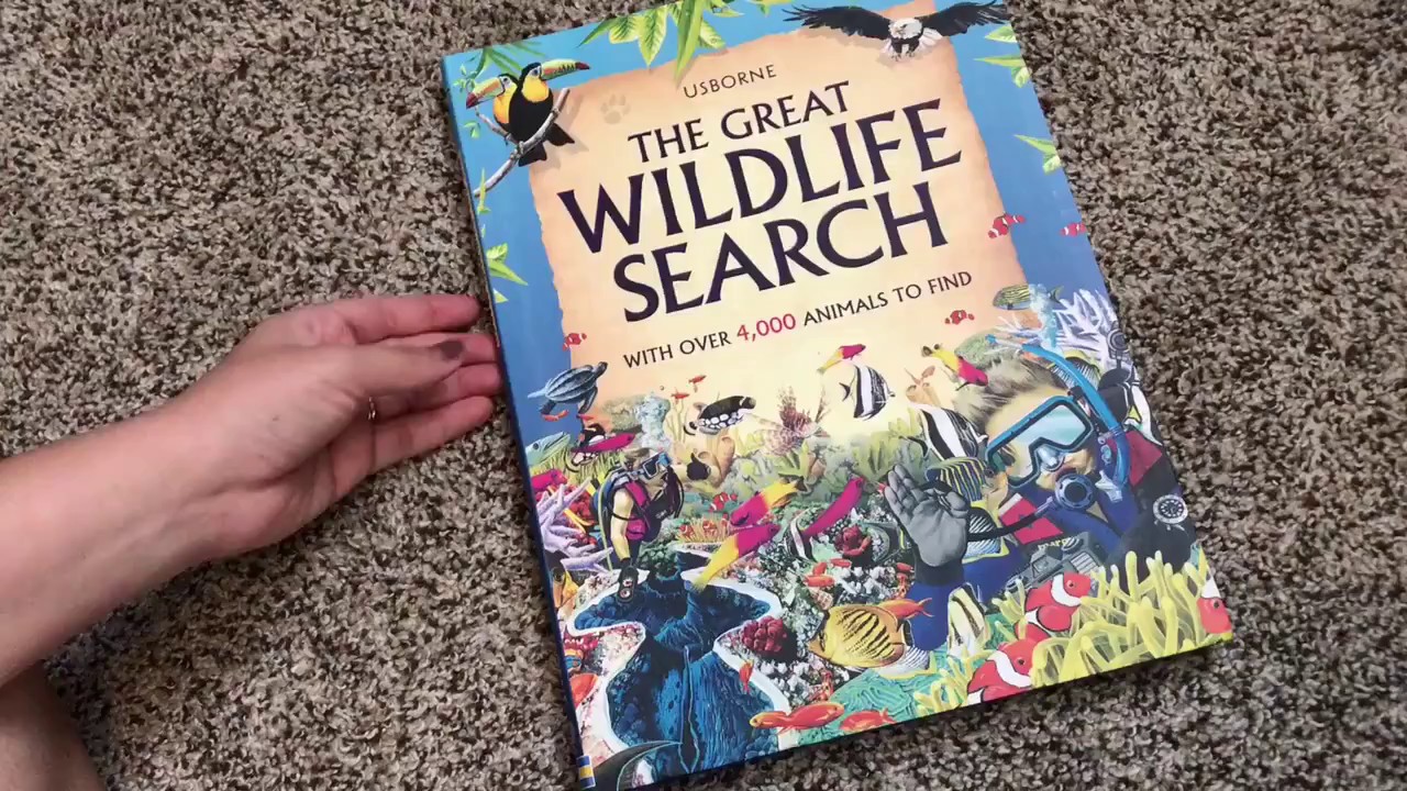 The Great Wildlife Search 🐘 Usborne Books & More