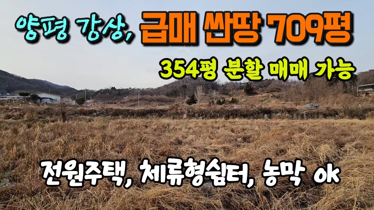 양평 강상면 땅값 싼 넓은 면적 양평 토지 땅 매매 매물 급매 급매물 급매매 #양평전원주택지 #양평싼땅 #양평농촌체류형쉼터