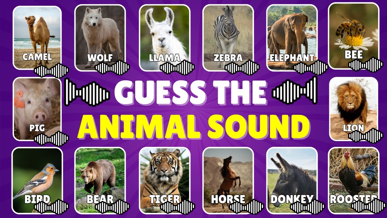 Guess 20 Animal By the Sound 🎼🔊🔥| Animal Quiz Challenge