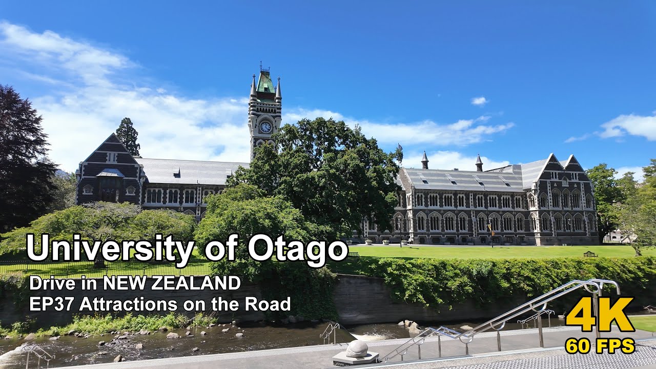 EP37 Attractions Walk | University of Otago 4K 60fps