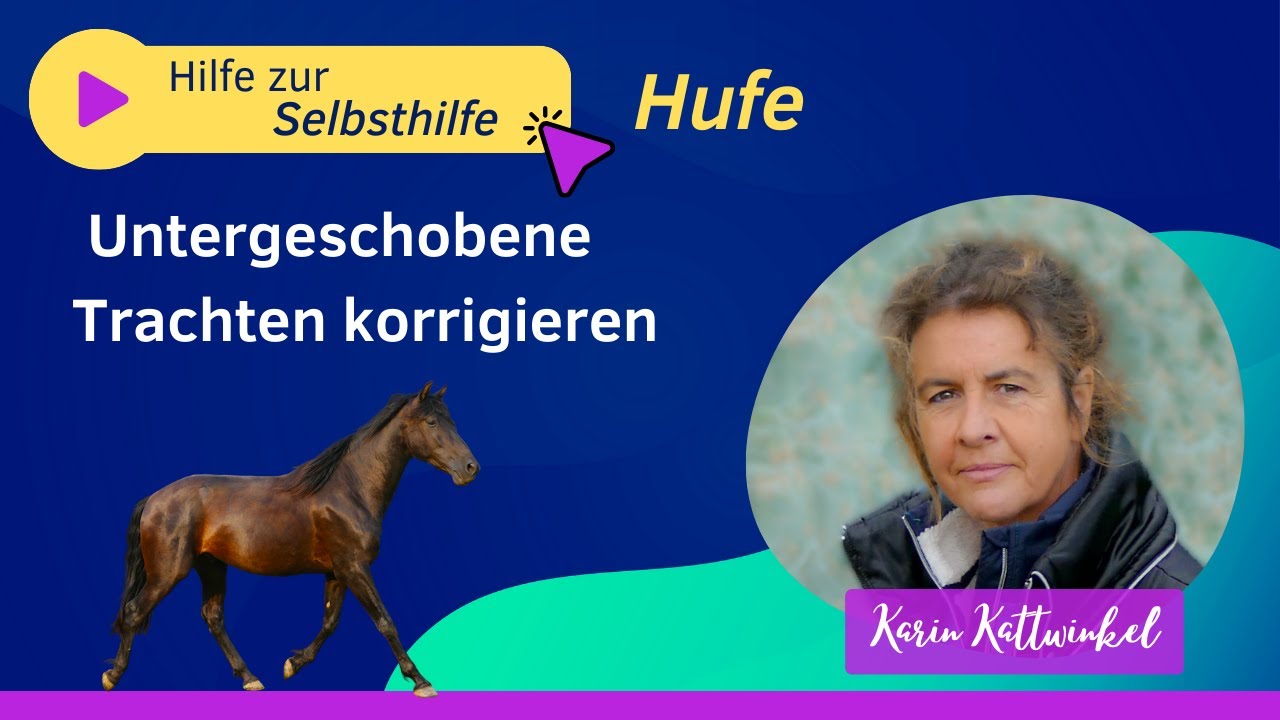 Wie korrigiere ich untergeschobene Trachten | Pferdegesundheit | Karin Kattwinkel