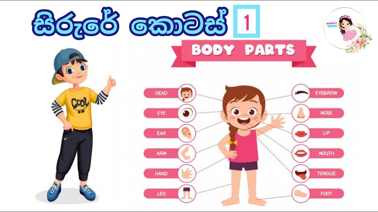 Parts of the 