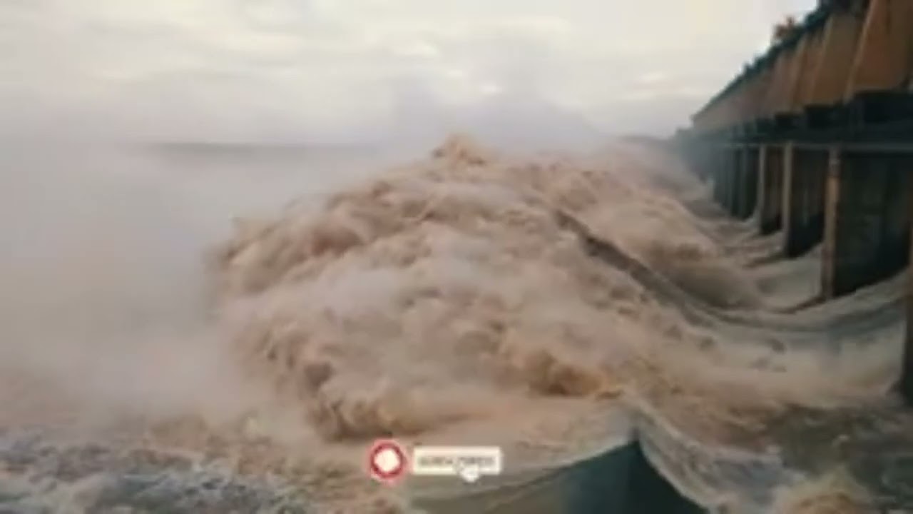 BASAVA SAGARA DAM WATER 46000 RELEASED NARAYANPUR DAM GATE OPEN VIDEOS 2023 2024 2024 #trendingfeed