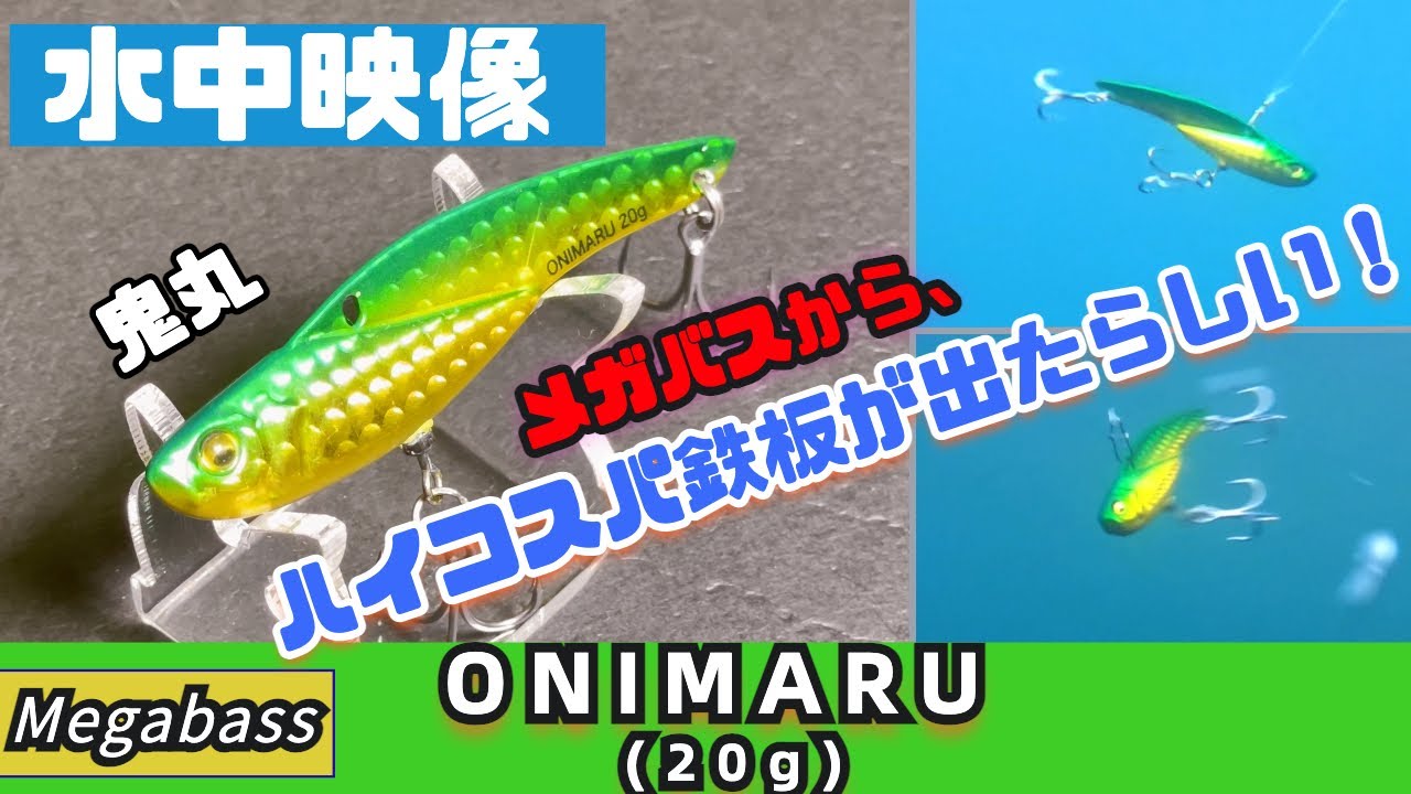 【水中映像】新作！鬼丸（メガバス）のポテンシャルやいかに？【ONIMARU】【シーバス】