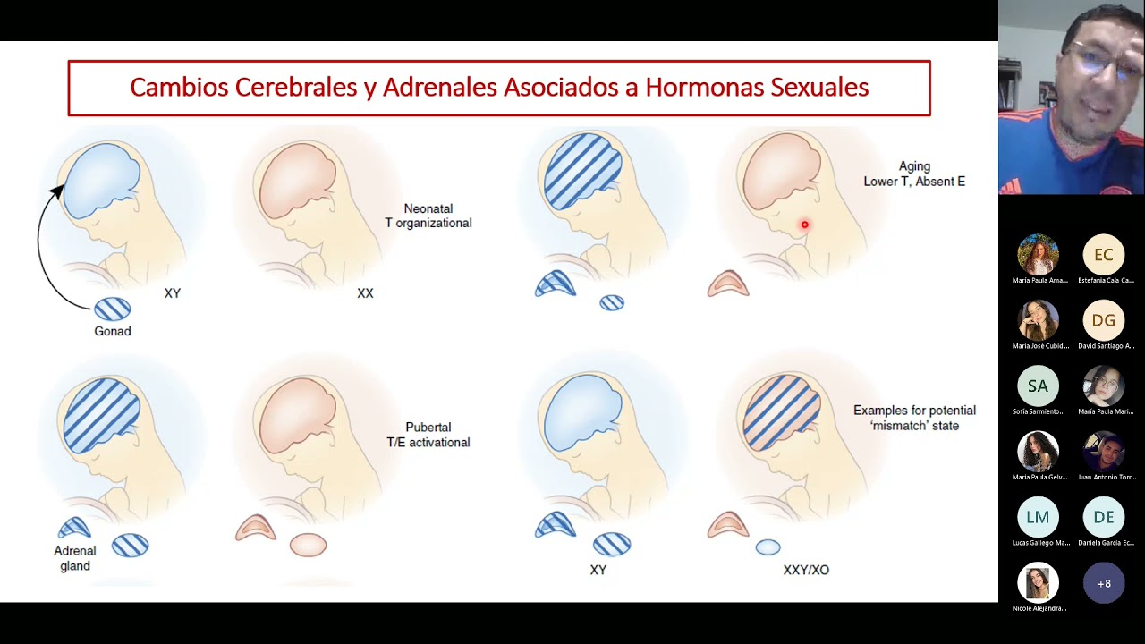 Neurobiología del Deseo Sexual