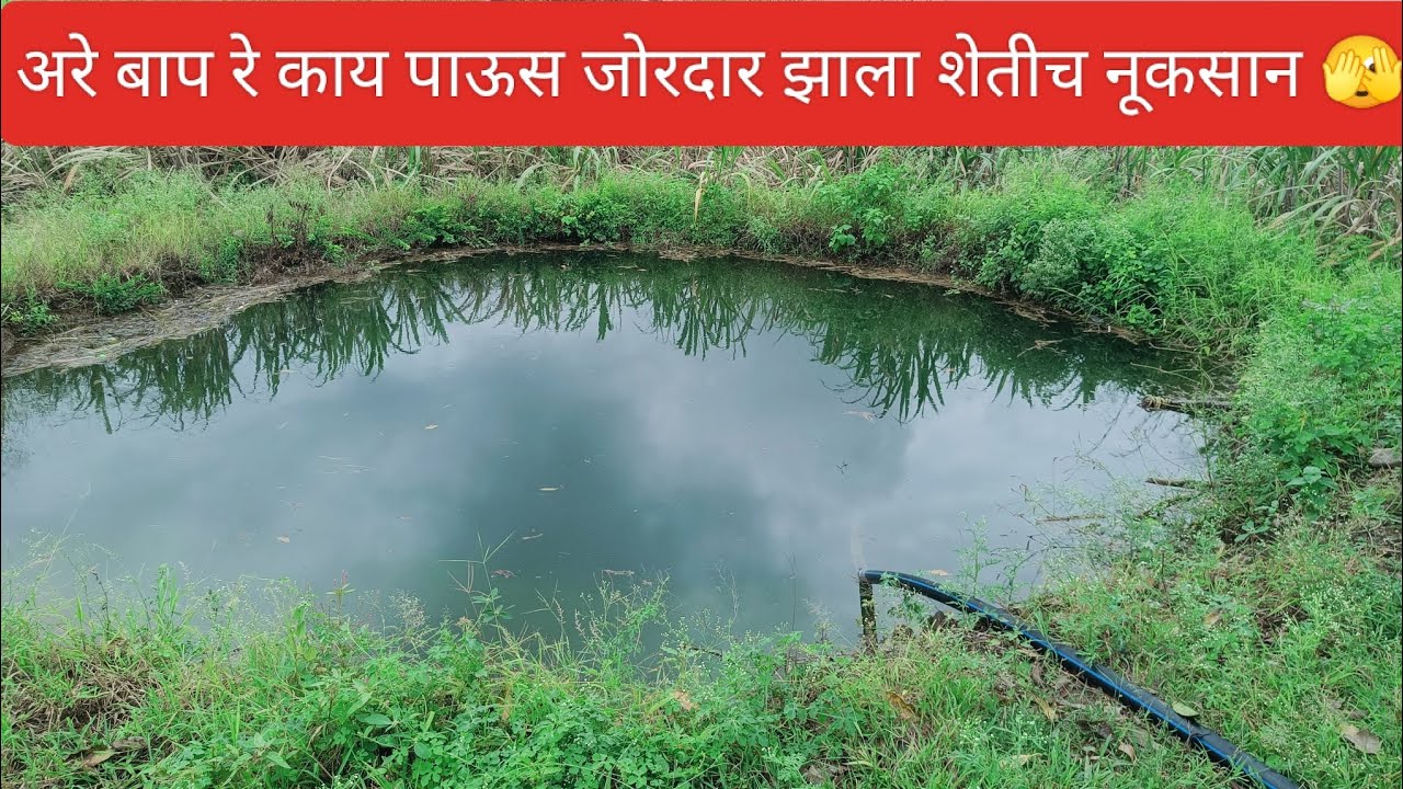 भरपूर पाऊस झाला 🫣 शेतीच नूकसान झाला #vlog #marathi #shetkari 