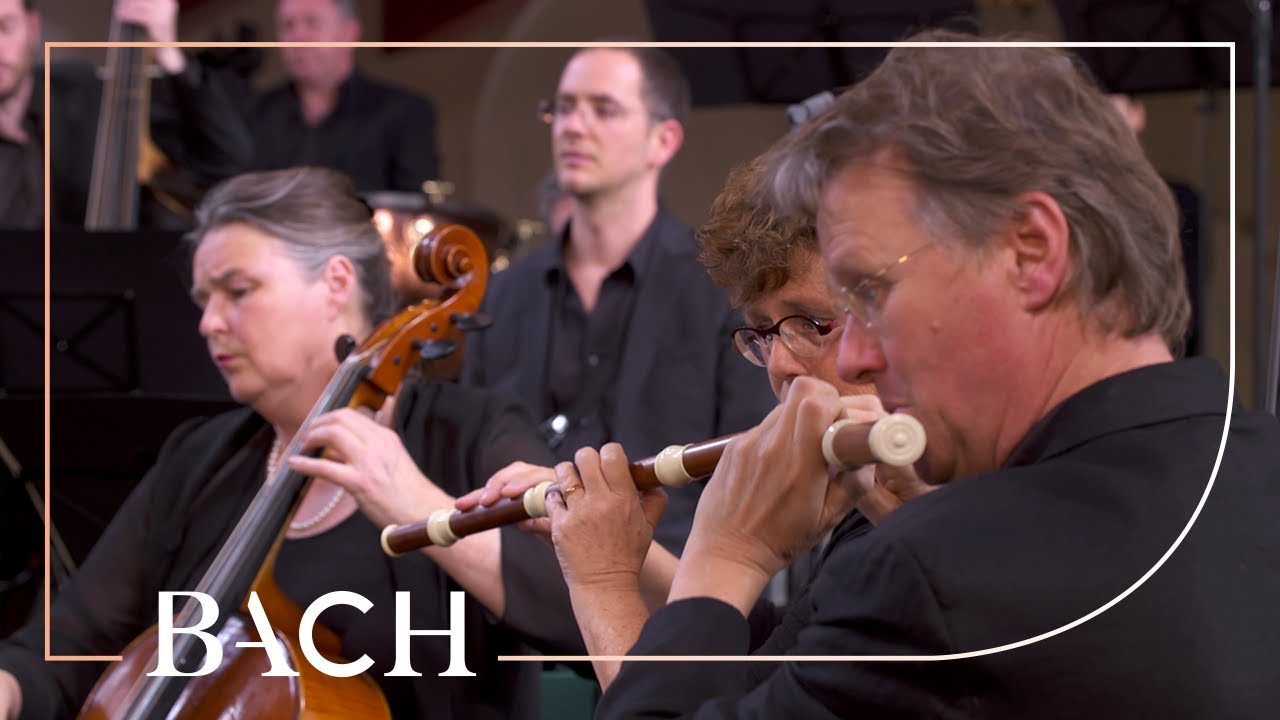 Bach - Cantata O ewiges Feuer... BWV 34 - Van Veldhoven | Netherlands Bach Society