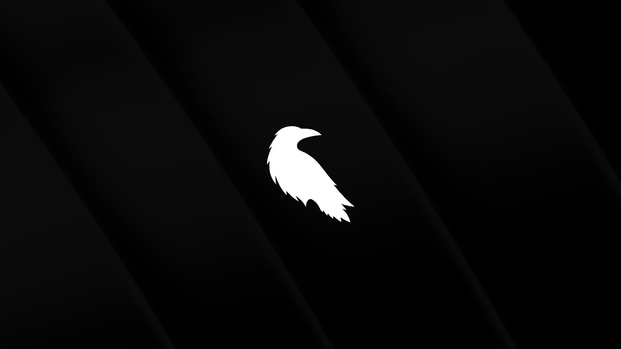 RAVEN: Фаза вторая