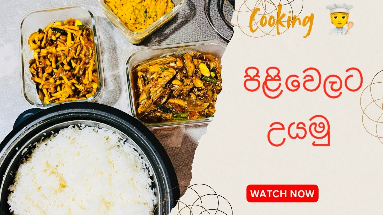 පිළිවෙලට ඉක්මනට රසට උයමු Ep2 | my cozy day 