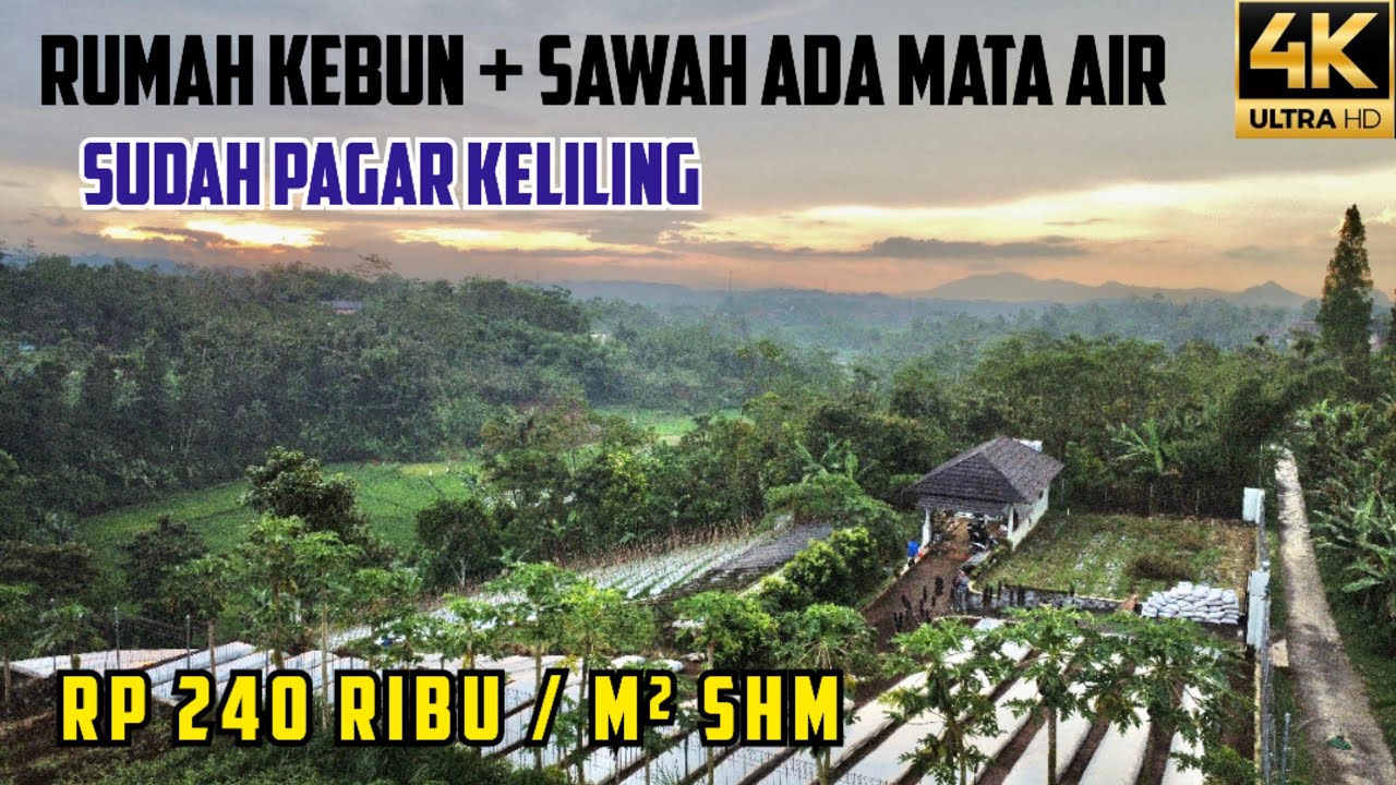 Tanah Darat dan Sawah Ada Mata Air+ Bangunan Sudah di Pagar Luas 5000 m2 SHM Rp 240 rb / m2 