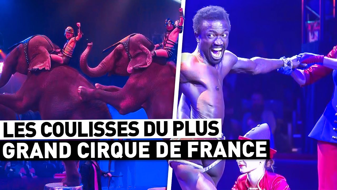 LES COULISSES DU PLUS GRAND CIRQUE DE FRANCE
