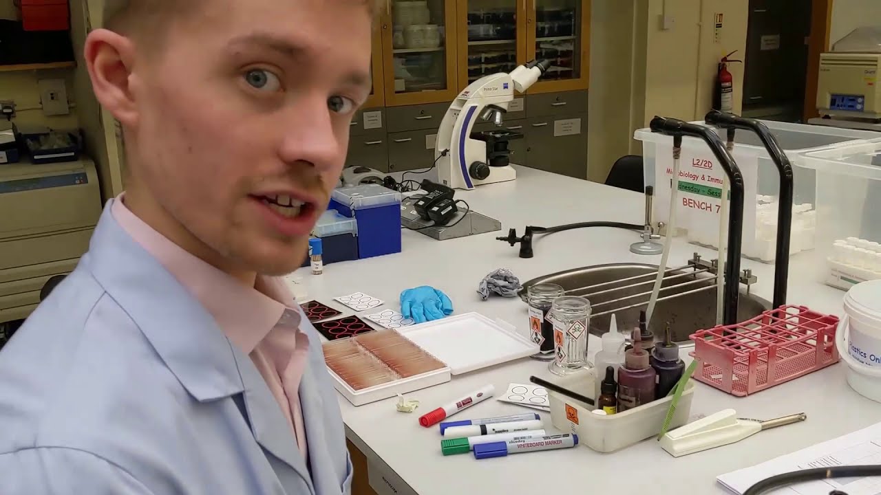 Level 2 Microbiology & Immunology | Isolation and Characterisation of Staphylococcus spp. (Part 2)