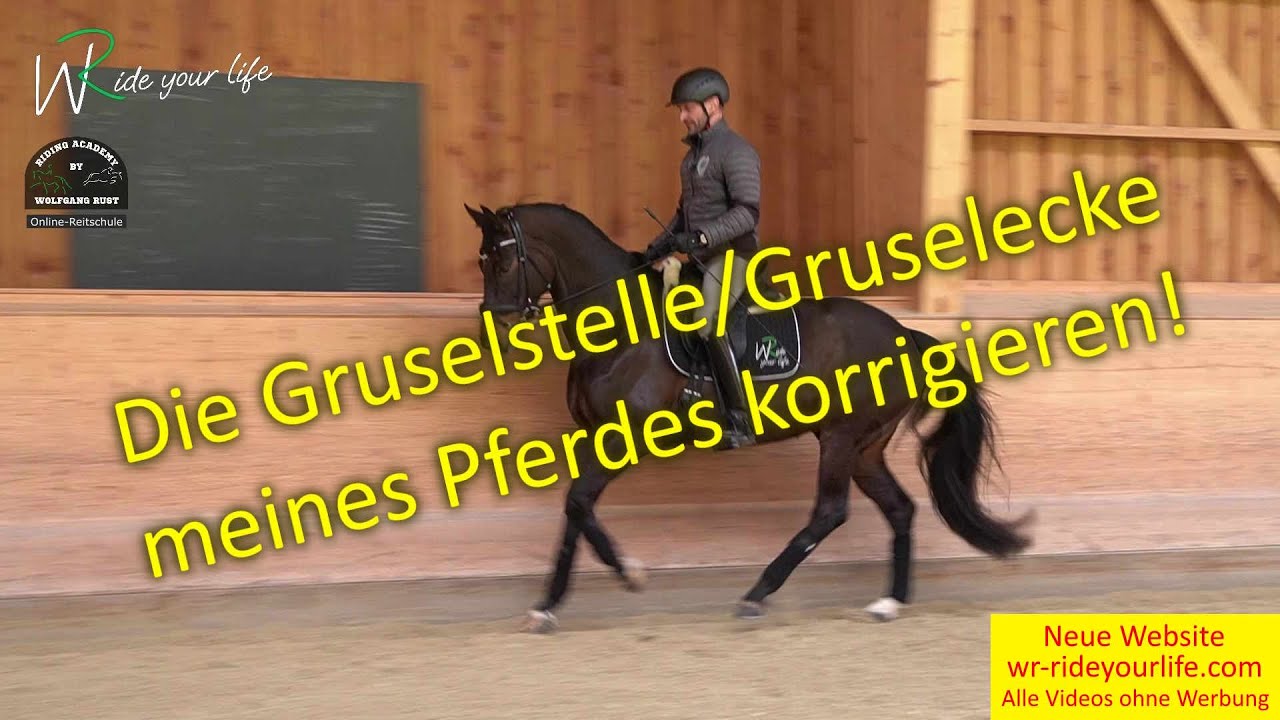 F160 Die Angstecke der Pferde im Viereck! Pferde mit Vertrauen Reiten lernen,  Mere-Exposure-Effekt