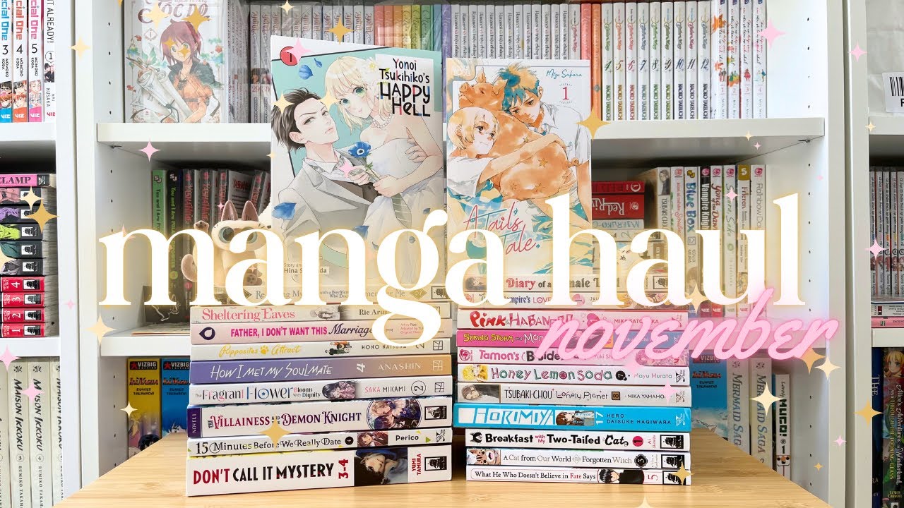 ₊˚⊹♡˖°𐙚 manga haul & review // nov '24 (20+ vols) 📚