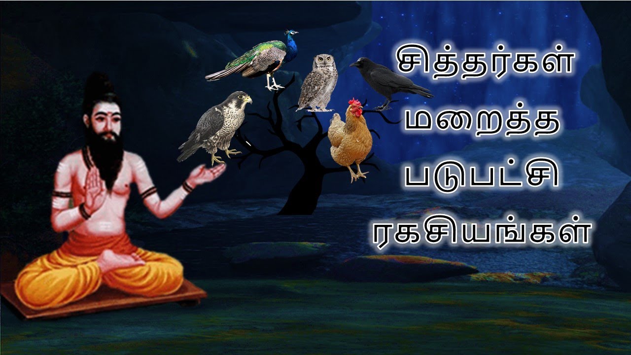 சித்தர்கள் மறைத்த படுபட்சி ரகசியங்கள் | பகுதி 8 | பஞ்சபட்சி சாஸ்திரம் | PanchaPatchi Sasthram 8