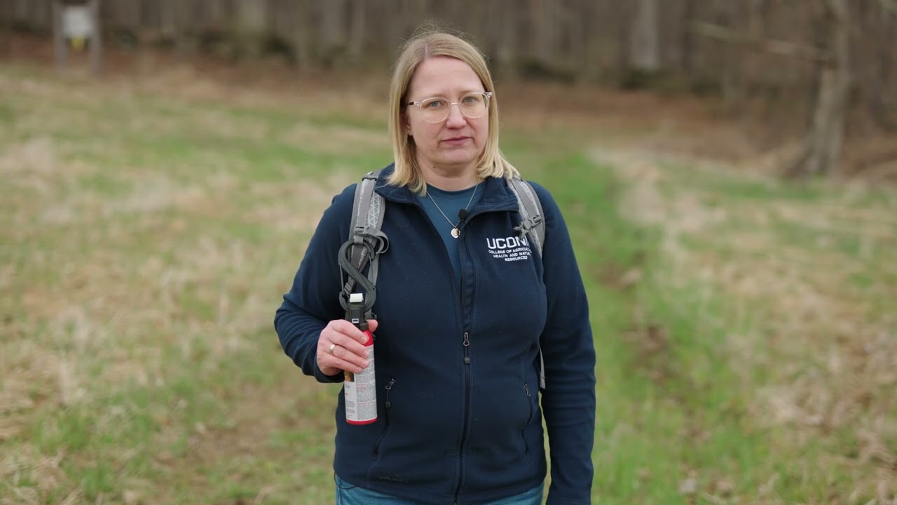 Living with Bears in Connecticut