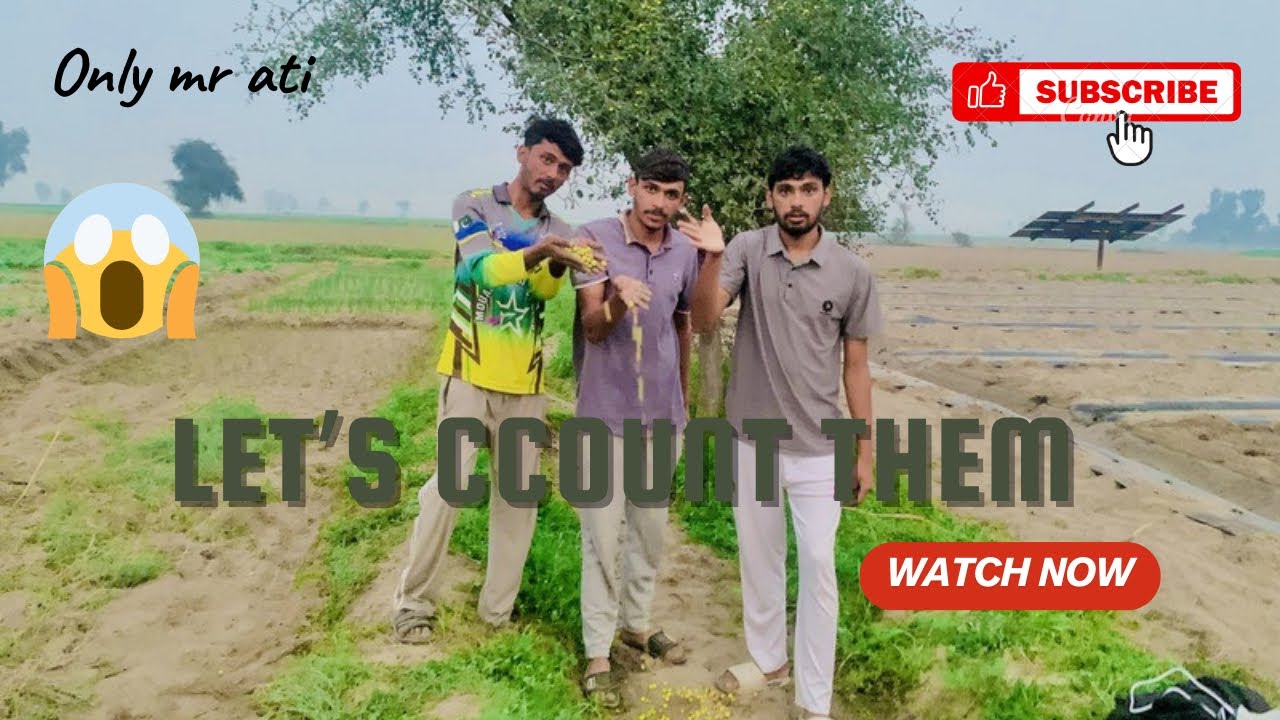 Let's count this fruit. New task video