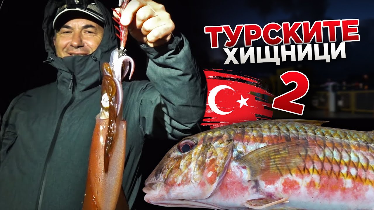 По следите на ТУРСКИТЕ ХИЩНИЦИ - 2 част
