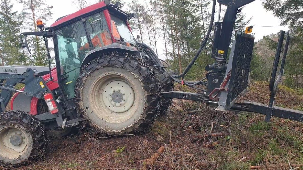 Skotar tall & björk med Valtra A93!