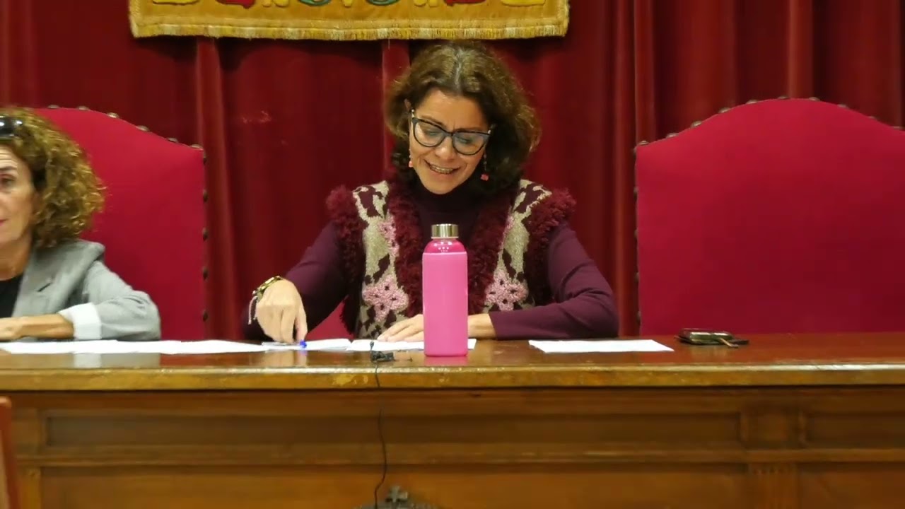 Pleno Extraordinario Noviembre 2025