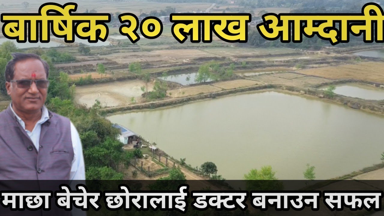 माछा पालनले फेरिएको जीवन, वार्षिक २० लाख कमाई||Fish farming business in Nepal