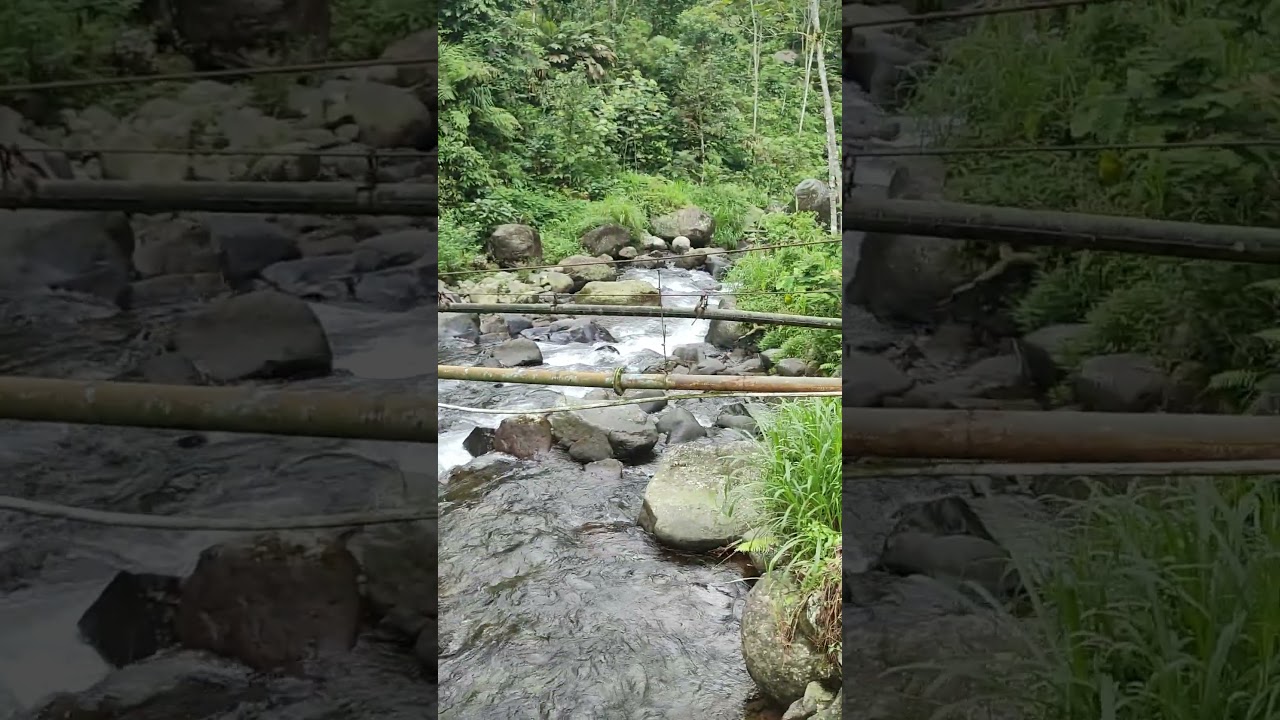 Rivers ambient #riverambience #4kriver #nature #mountains