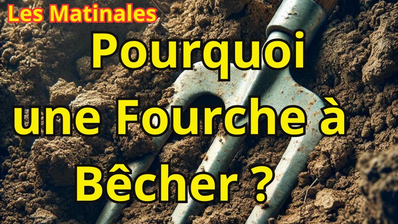 Tout Ce Que Vous Devez Savoir sur l'Utilisation d'une Fourche à Bêcher pour un Sol Optimal