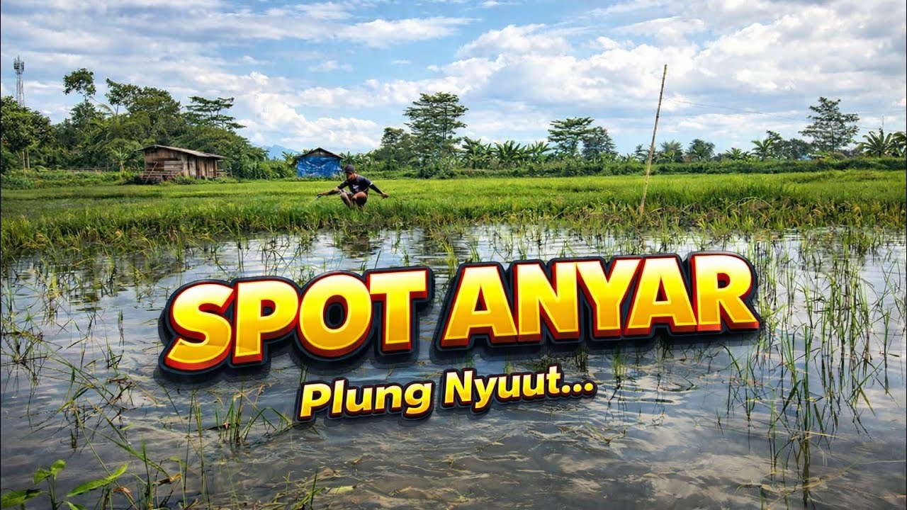 Mancing di Spot Anyar‼️Mancing di Rawa Pening