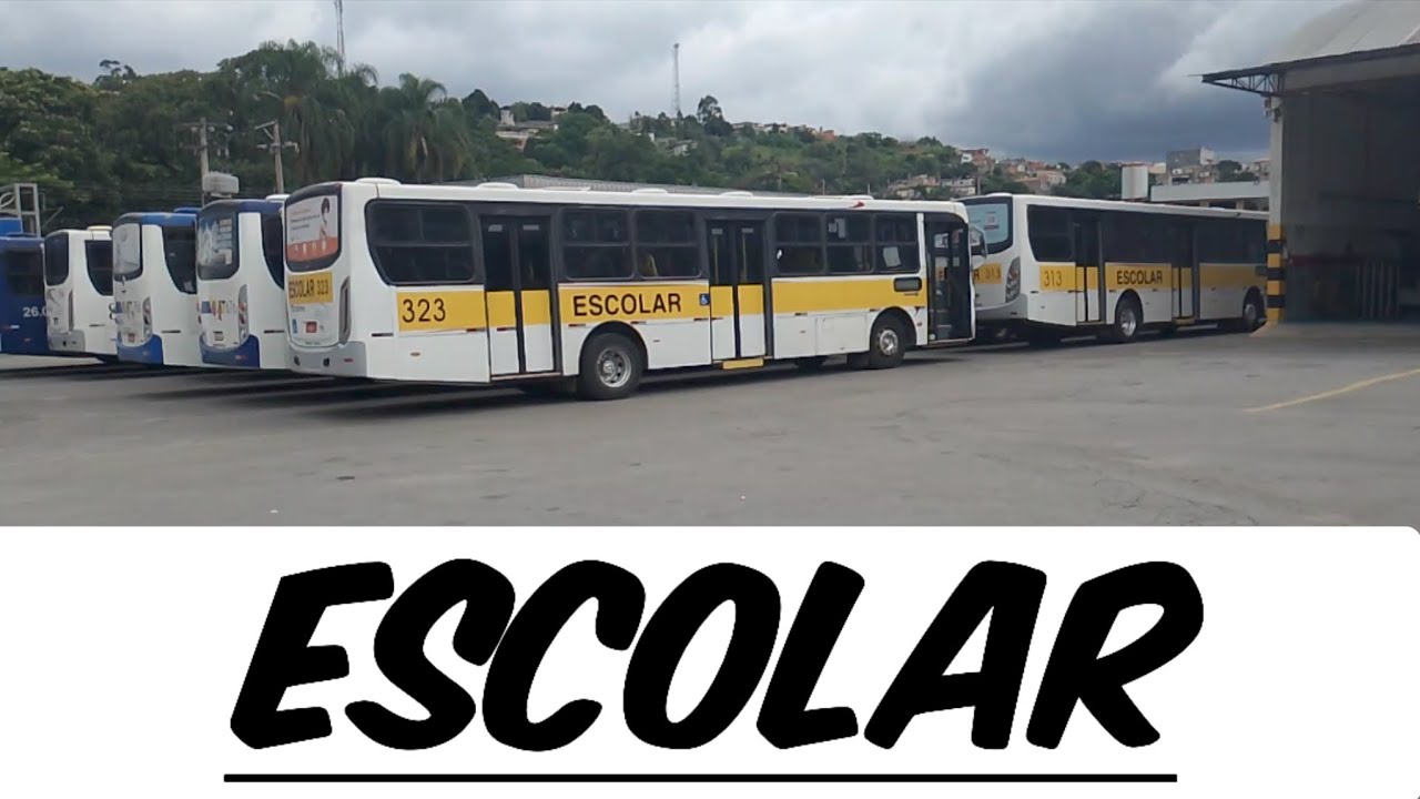 Frota dos escolares na garagem da Moratense.✔️
