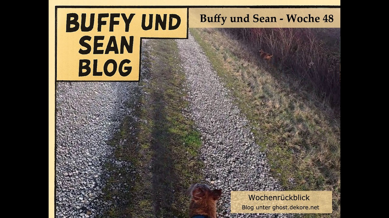 Achtsundvierzigster Wochenrückblick Buffy & Sean: Parkspaziergang & Feldrunde 🐾