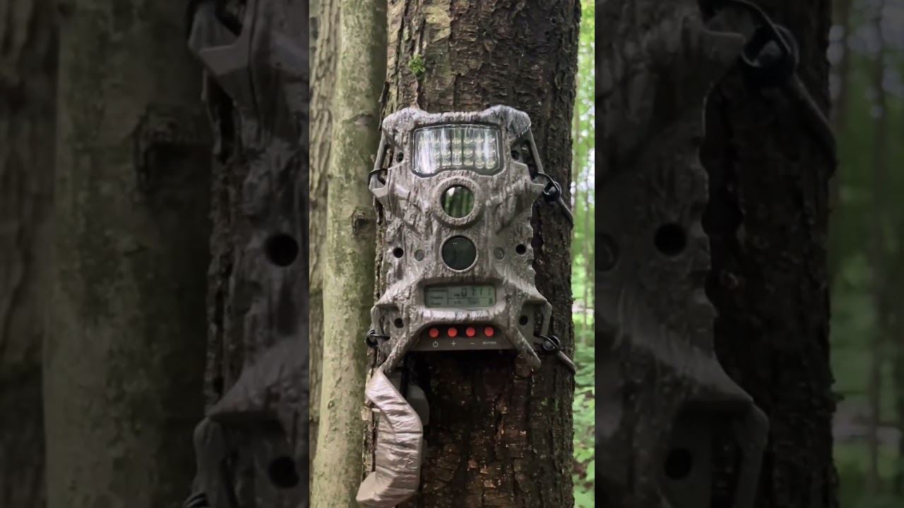 Hunt smart with Wildgame innovations&rsquo; Terra Extreme trail cameras#hunting #trailcam