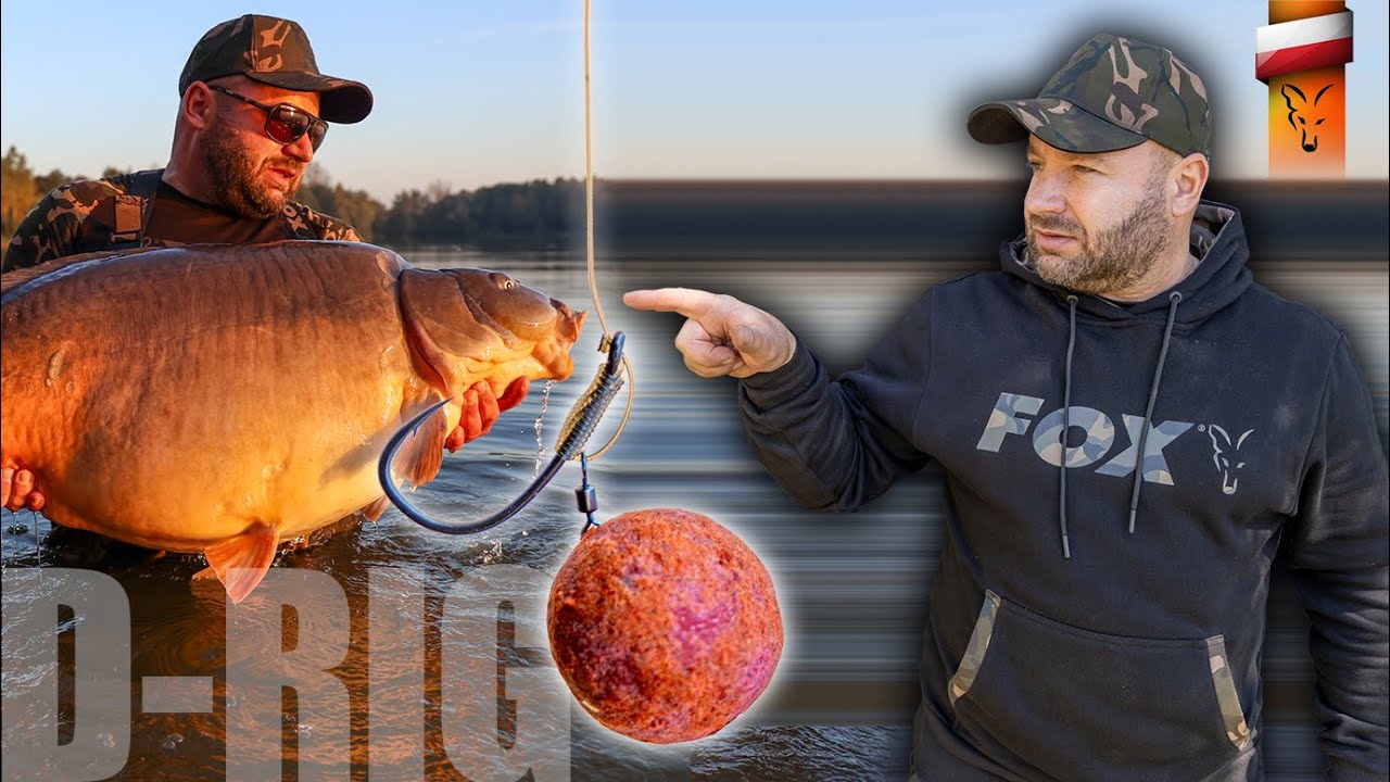 Taki przypon D-RIG przechytrzył polskie PB Biela🧐✊ | Fox carp fishing